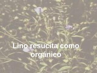 Lino resucita como organico INDEX SALUS.ppt