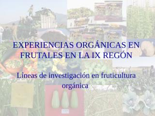 Experiencias organicas en frutales en la IX región.ppt