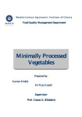 project minimally processed vegetables 17-5-2005 -ayman & ali.pdf