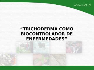Controladores biologicos y bioinsumos.ppt